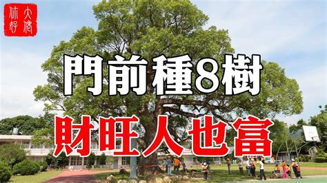 門前種什麼樹好|門前種對樹，家庭旺三代，家門前種5種樹，寓意好，。